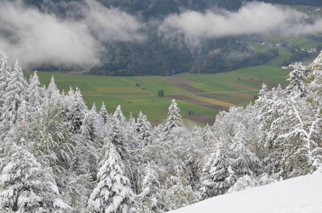 Pension Spiegl Seefeld in Tirol Exteriör bild