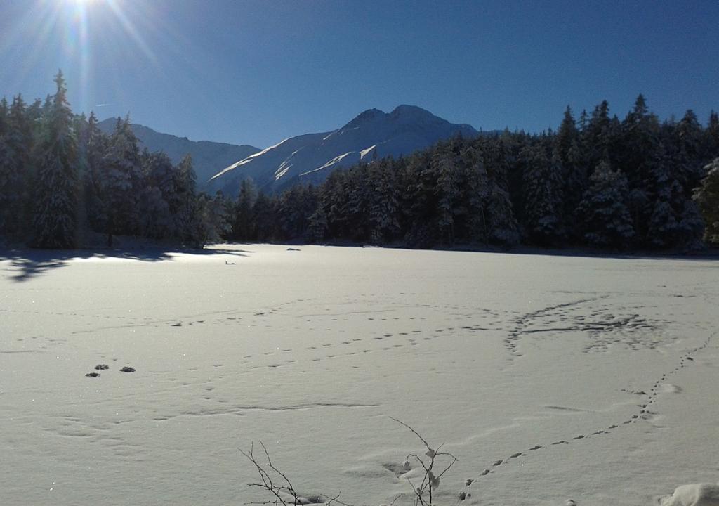 Pension Spiegl Seefeld in Tirol Exteriör bild